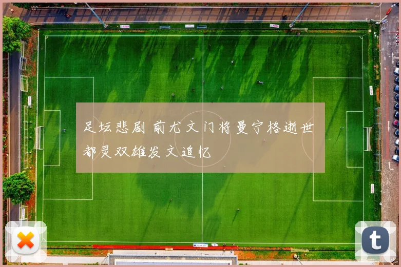 足坛悲剧 前尤文门将曼宁格逝世 都灵双雄发文追忆
